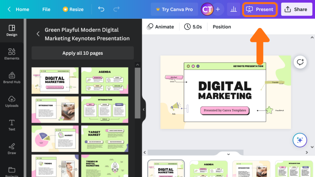 how to use canva live, what is canva live, canva live, canva live steps