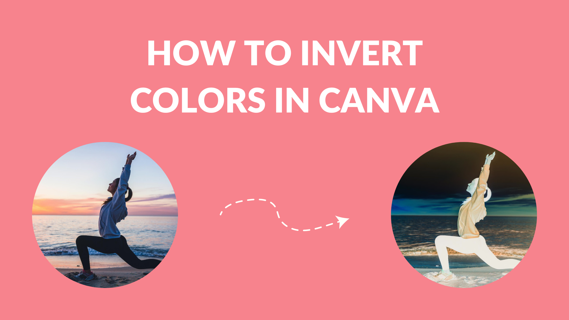 How to Invert Colors in Canva