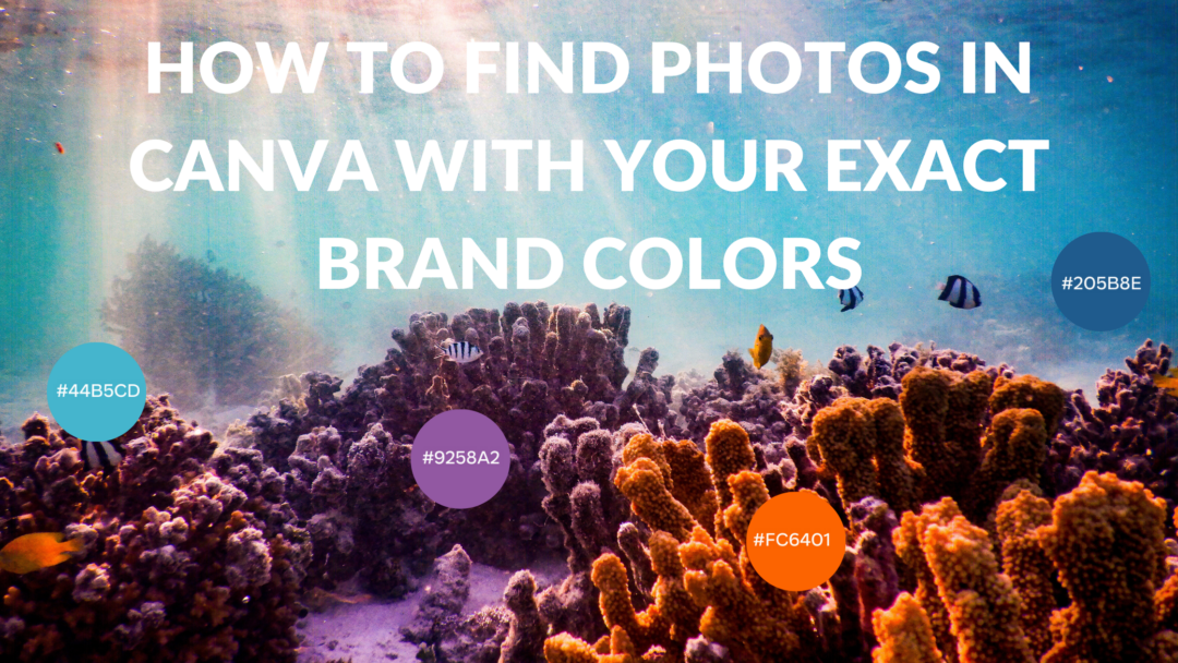How to Flatten an Image in Canva - Template Fonts